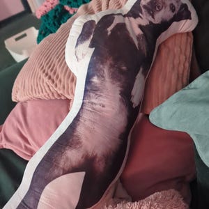 Talia added a photo of their purchase