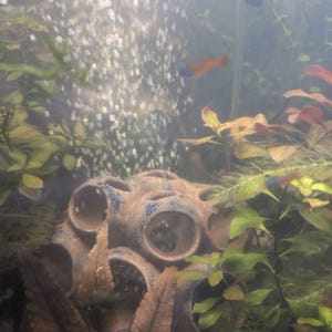 Alexander added a photo of their purchase