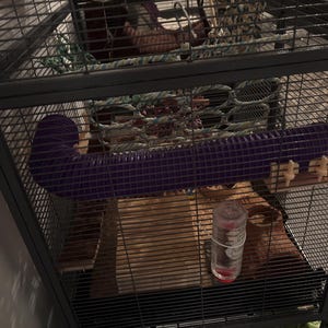 Bear added a photo of their purchase