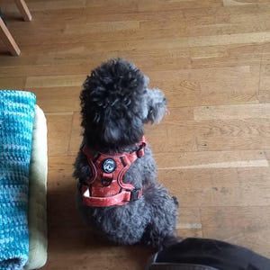 Sonja added a photo of their purchase