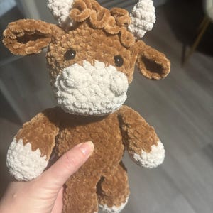 nadine added a photo of their purchase