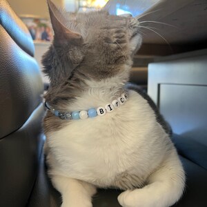 Olivia さんが購入した商品の写真を追加しました