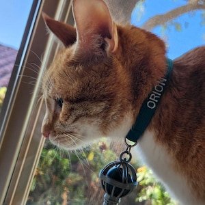 Bryan added a photo of their purchase