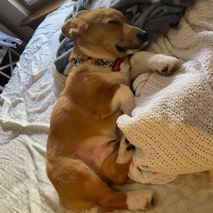 Elise ha añadido una foto de su compra