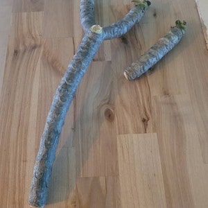 Tom added a photo of their purchase