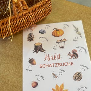 Dschungel Outdoor Schnitzeljagd mit 20 Hinweisen, Urkunde, Geschichte & mehr, Schatzsuche Set für Kinder ab 6 Jahren
