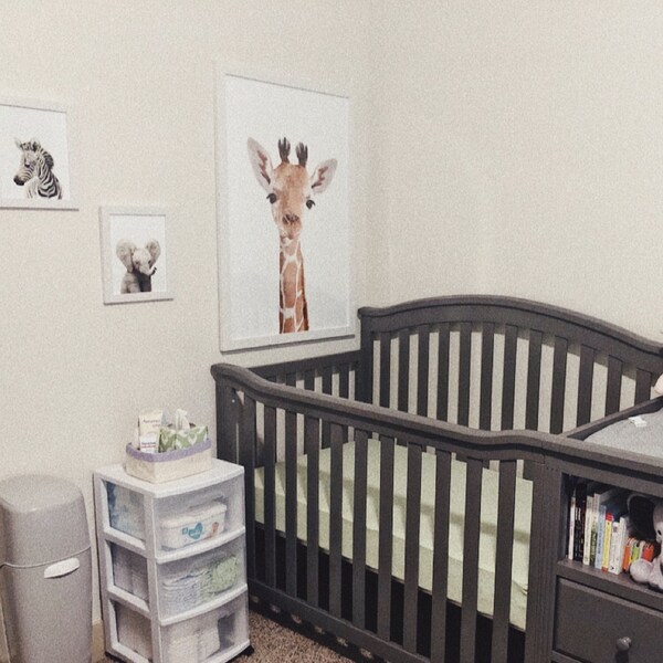 Safari Nursery Art for Baby, PRINTABLE Nursery Art, Zoo Animal Prints ...