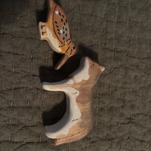 Elizabeth added a photo of their purchase