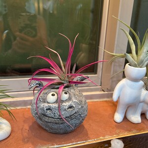 Linda さんが購入した商品の写真を追加しました