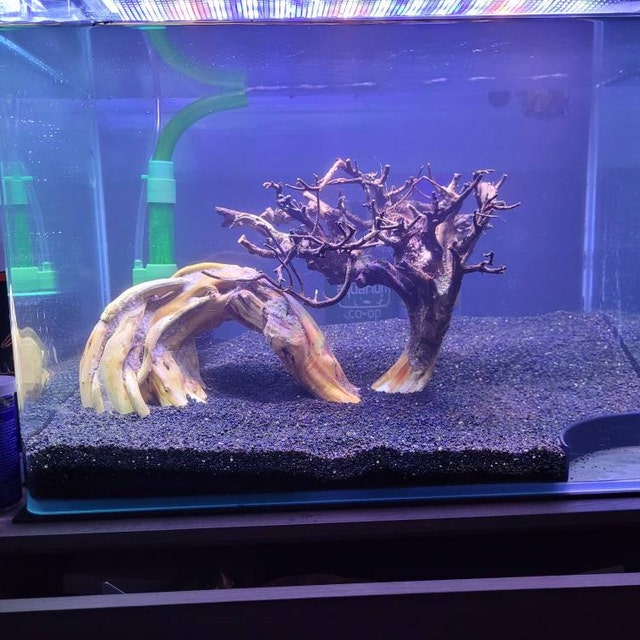 Drift Wood Bonsai Aquarium Rock Aquascape Hardscape Plants Drift Wood Bonsai Aquarium Rock Aquascape Hardscape Plants