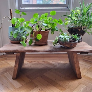 Aurora added a photo of their purchase