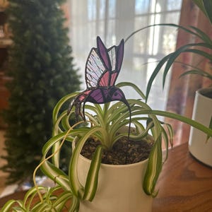 Sorina added a photo of their purchase