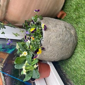 Thelema added a photo of their purchase