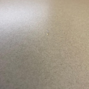 Traci hat ein Foto des gekauften Artikels hinzugefügt