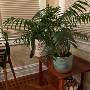 Janice added a photo of their purchase