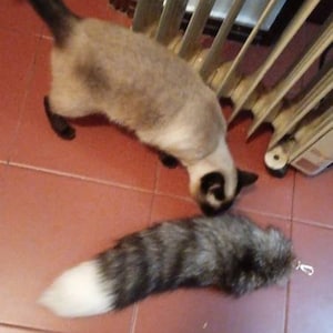 Iris ha añadido una foto de su compra