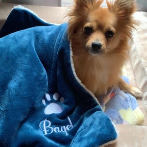 Inactive user added a photo of their purchase