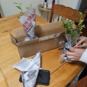Kathryn added a photo of their purchase