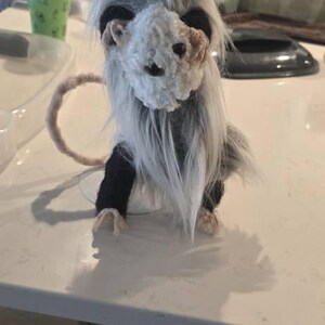 Jared added a photo of their purchase