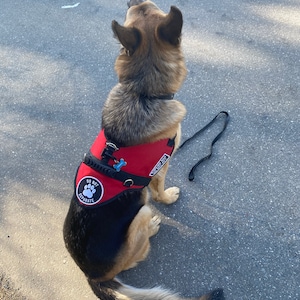 Riley added a photo of their purchase