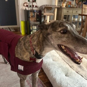 Cindy added a photo of their purchase