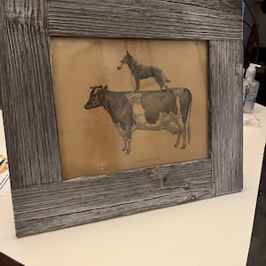 Lauren added a photo of their purchase