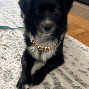 Kelly added a photo of their purchase