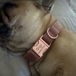 Fiona hat ein Foto des gekauften Artikels hinzugefügt