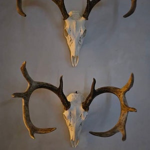 tnagtegaal added a photo of their purchase