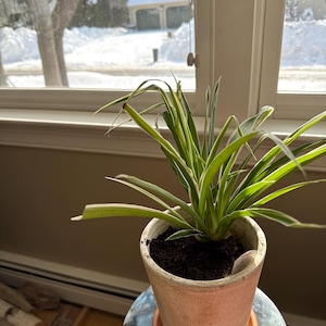 ro added a photo of their purchase