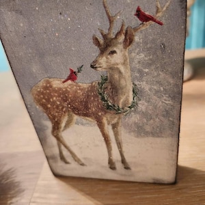 Marcia added a photo of their purchase