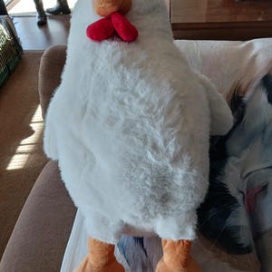 Doozie added a photo of their purchase