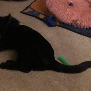 Jacqueline added a photo of their purchase