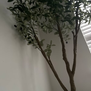 Zainab added a photo of their purchase