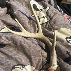 Heather added a photo of their purchase