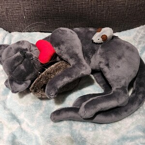 Amy added a photo of their purchase