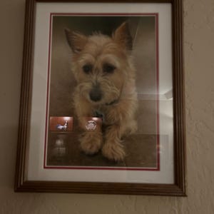 Yenchia added a photo of their purchase