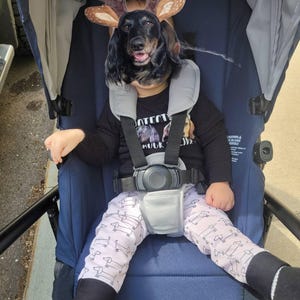Sarah added a photo of their purchase