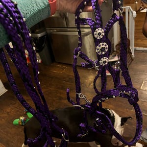 Darcy added a photo of their purchase
