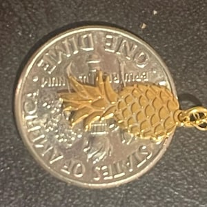 Customer photo, Upside Down Pineapple Necklace
