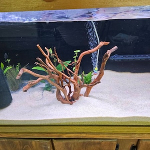 George added a photo of their purchase