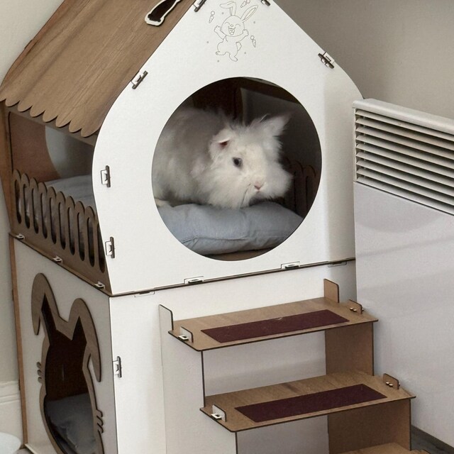 2階建て木製うさぎ小屋：モダンな屋内うさぎの城、うさぎ小屋、うさぎ