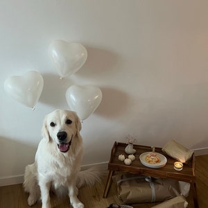 Frances added a photo of their purchase