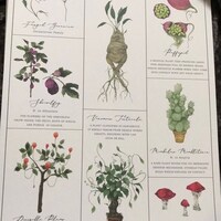 Herbology Chart A3 Print - Etsy UK