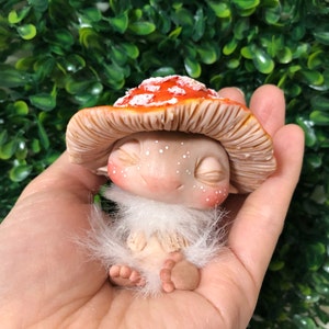 里美 added a photo of their purchase