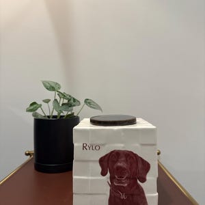 Michelle ha añadido una foto de su compra