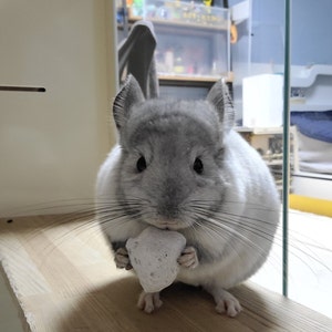 Seulki a ajouté une photo de son achat