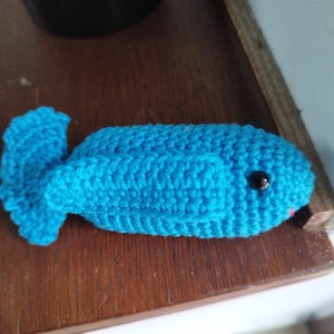 Maria added a photo of their purchase