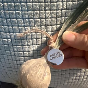 Kupujący z Etsy dodał(a) zdjęcie swoich zakupów