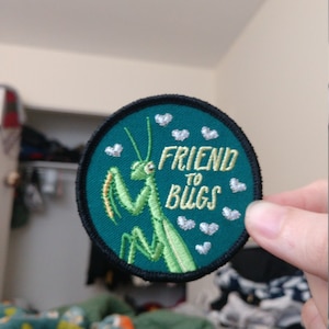 Friend to Bugs Patch - Etsy